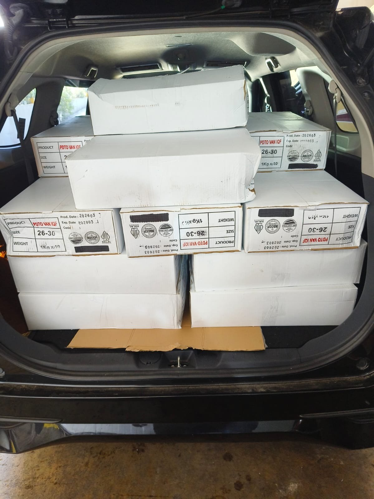 Armada Pengiriman Ayam Jakarta