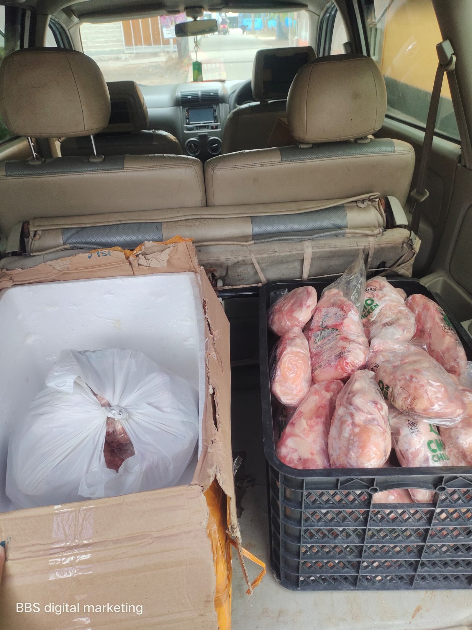 Supplier Ayam Frozen Jakarta Timur – Stok Selalu Tersedia, Pengiriman Terjadwal